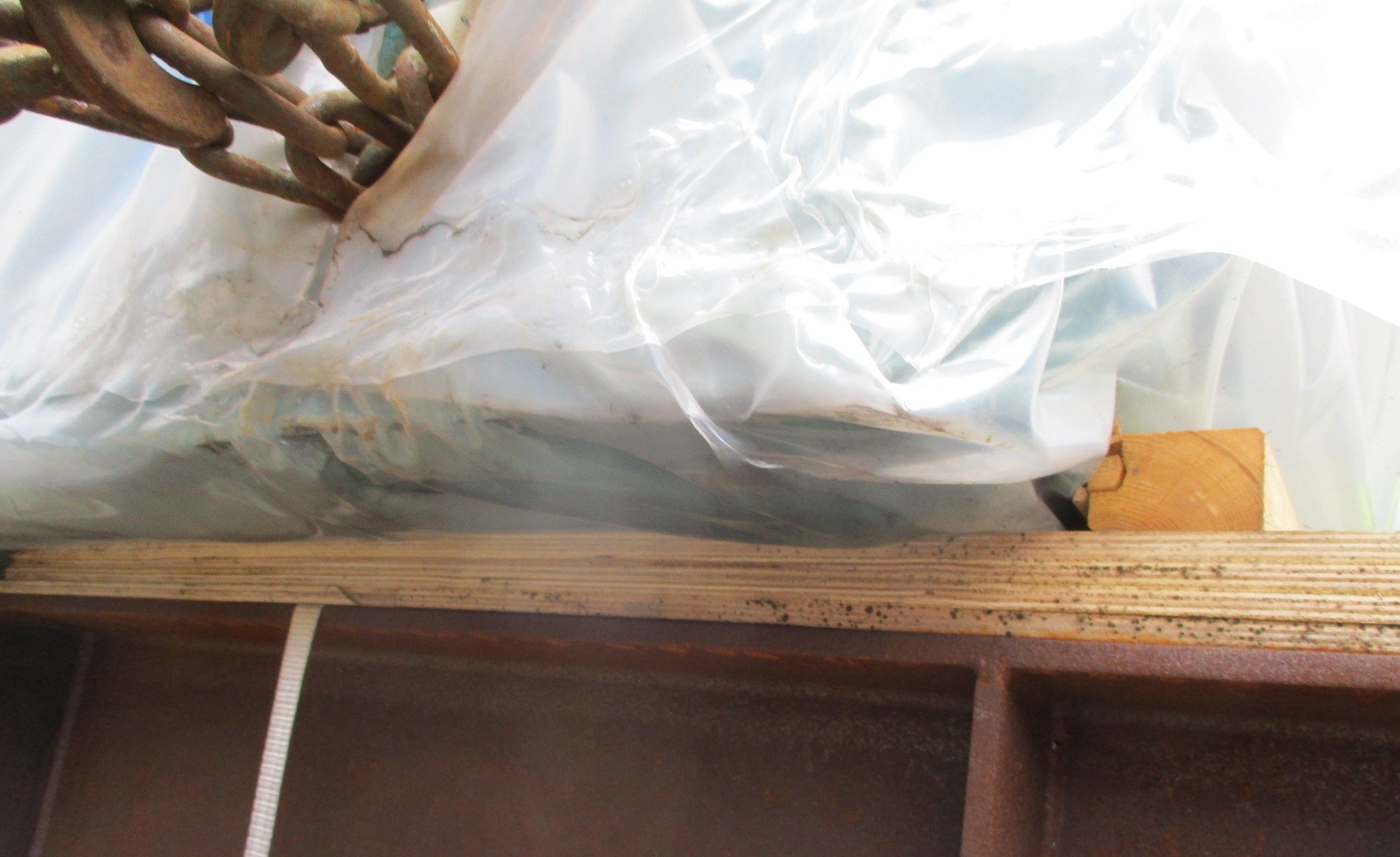 A Professional Eye Passing By…